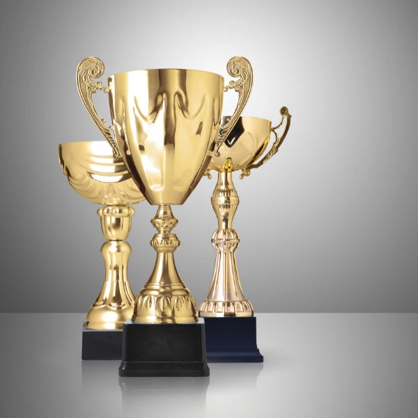 Awards & Trophies